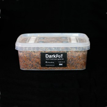 DarkPot Maxi Mushroom Grow Kit
