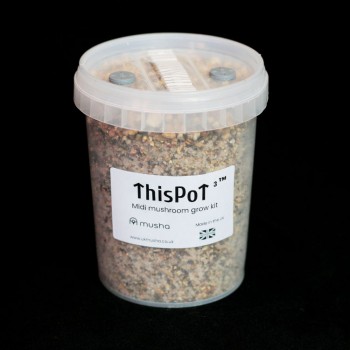 ThisPot Cubed Midi Grow Kit