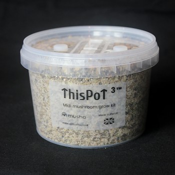 ThisPot Cubed Midi Grow Kit