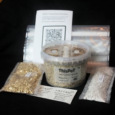 ThisPot Midi Mushroom Grow Kit