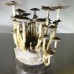 Aztec God Magic Mushroom Spores
