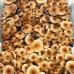 Orissa Magic Mushroom Spores