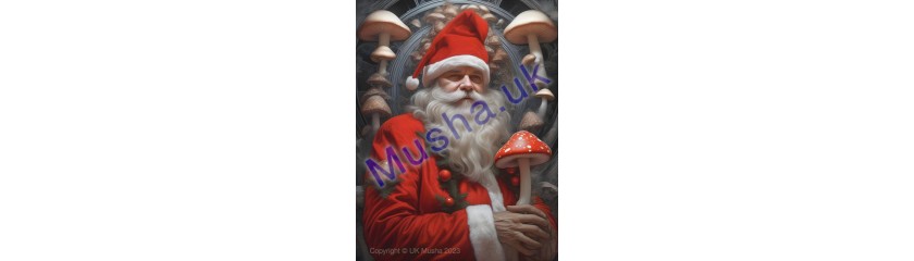 ✨ Merry Christmas and Happy New Year from UK Musha! ✨