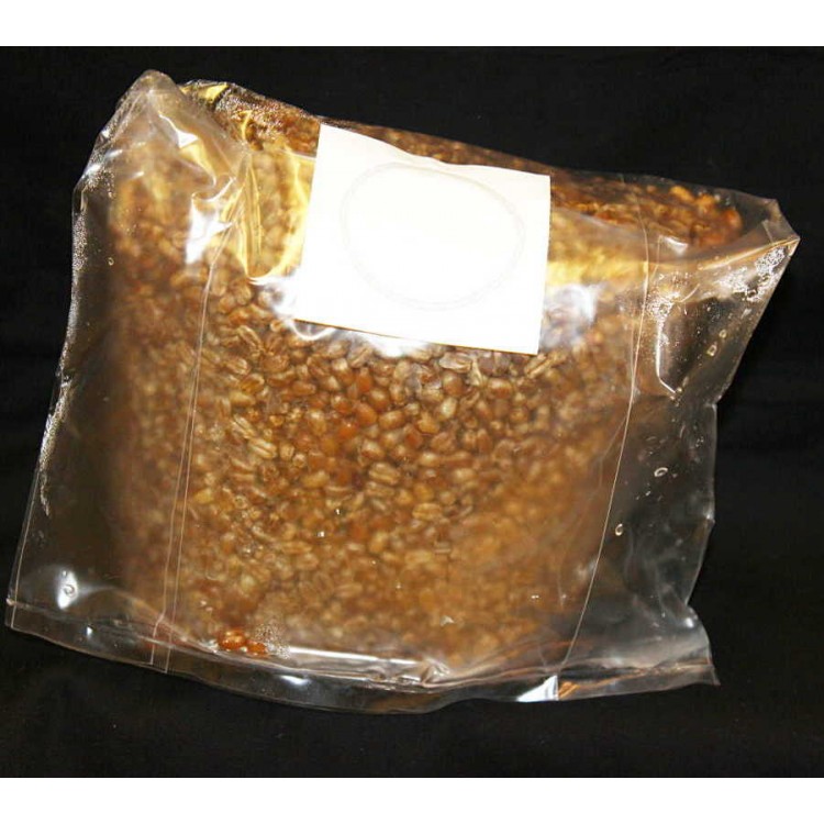 Sterlised Wheat Grain Bags